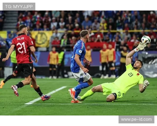 阿尔巴国家队表现分析