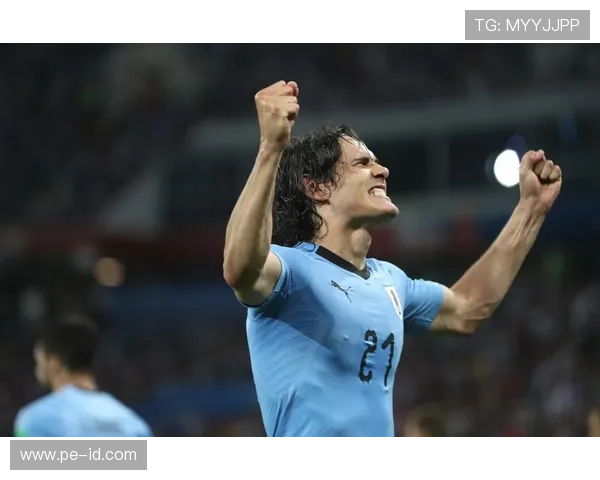 卡瓦尼足球影响力